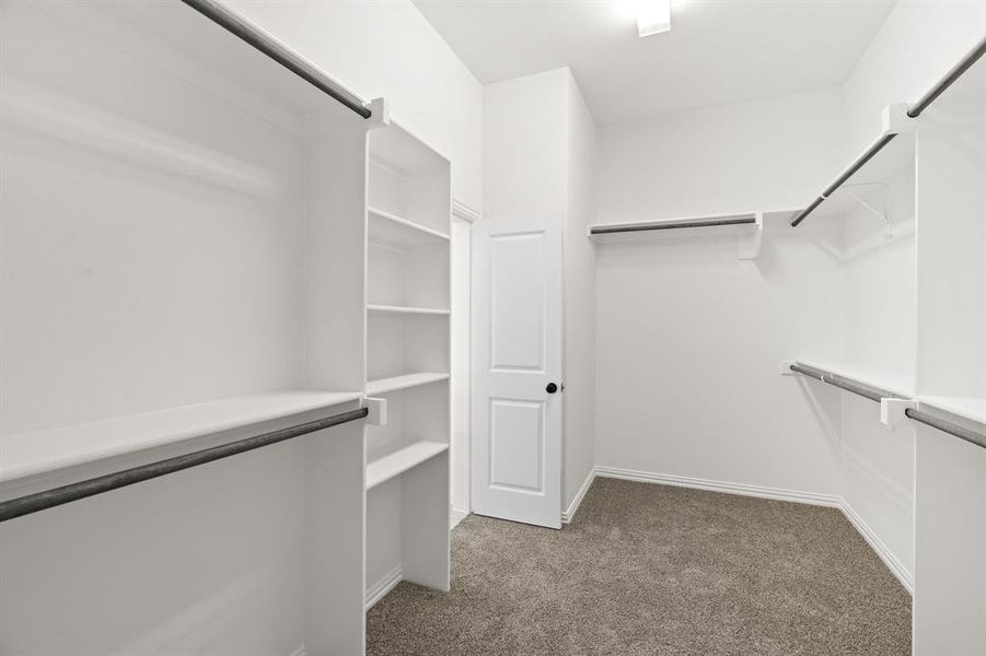 Spacious closet featuring dark colored carpet Spacious closet featuring dark colored carpet