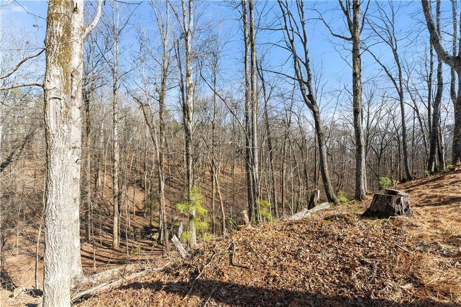 Natural landscape and outdoor views near  in Gainesville (Image 70).