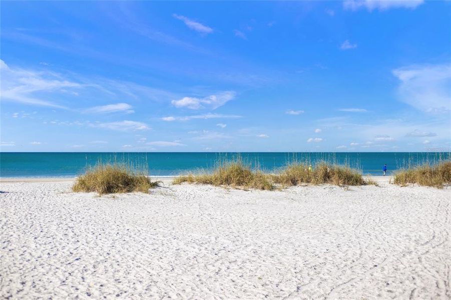 Natural landscape and outdoor views near  in Bradenton (Image 72).