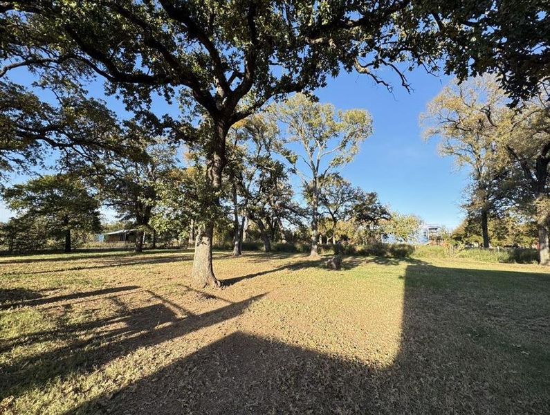 Natural landscape and outdoor views near  in Waco (Image 26).