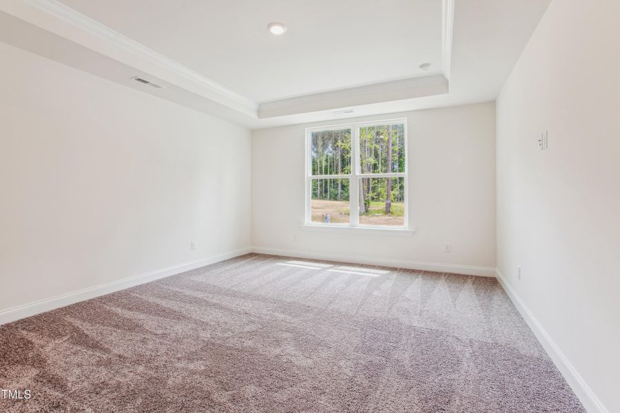 Roanoke - BTS 43 - interiors-primary bed