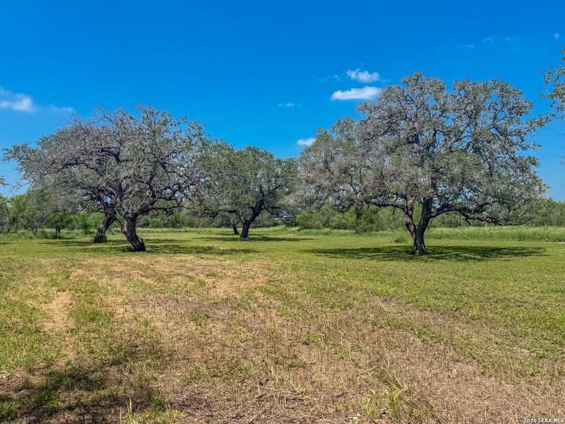 Natural landscape and outdoor views near in Kenedy (Image 18). Natural landscape and outdoor views near in Kenedy (Image 18).