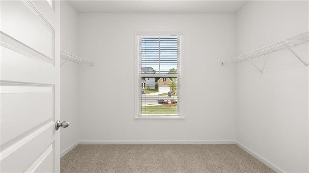 Spacious, unfurnished interior of a new home in Heritage Pointe, Senoia (Image 28).
