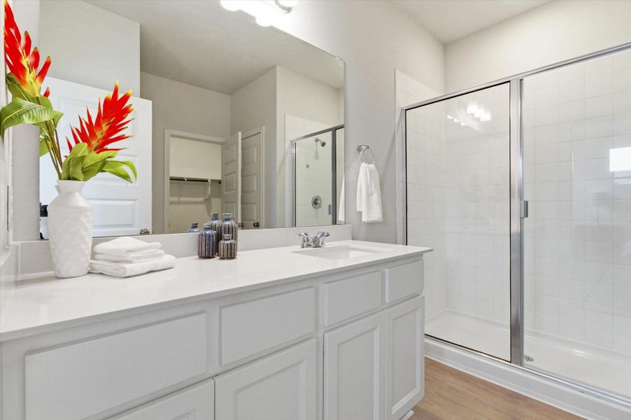 Primary bath with easy step-in shower