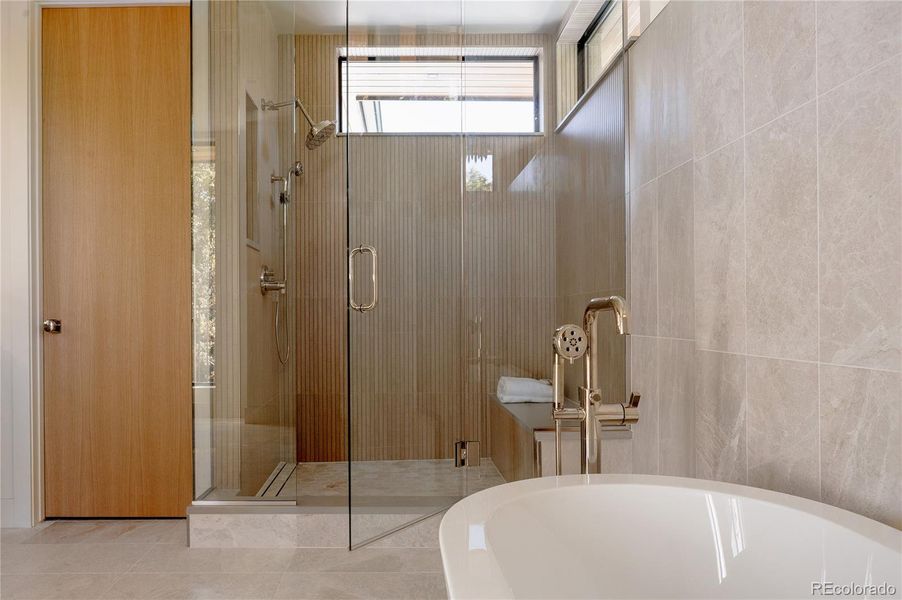 Primary Bath Shower Tub