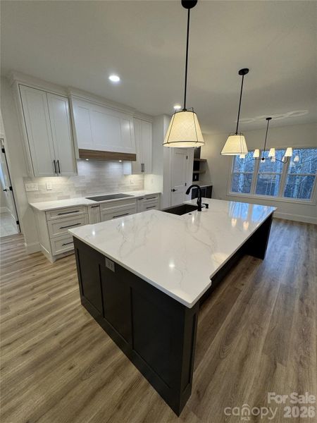 Furnished interior view inside a new home in , Hickory (Image 17).