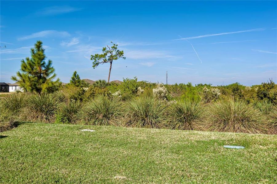 Natural landscape and outdoor views near Del Webb BayView in Parrish (Image 27).