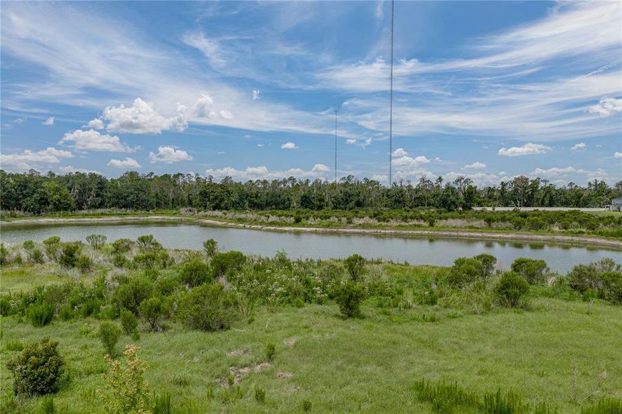 Natural landscape and outdoor views near  in Riverview (Image 53).