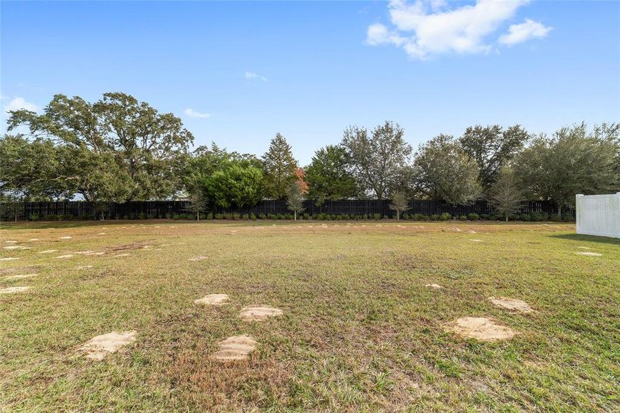Natural landscape and outdoor views near Calesa Township in Ocala (Image 75).