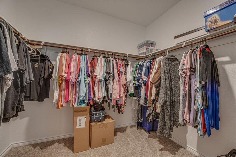 Walk in closet featuring light colored carpet