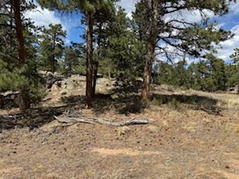 Natural landscape and outdoor views near  in Red Feather Lakes (Image 15).
