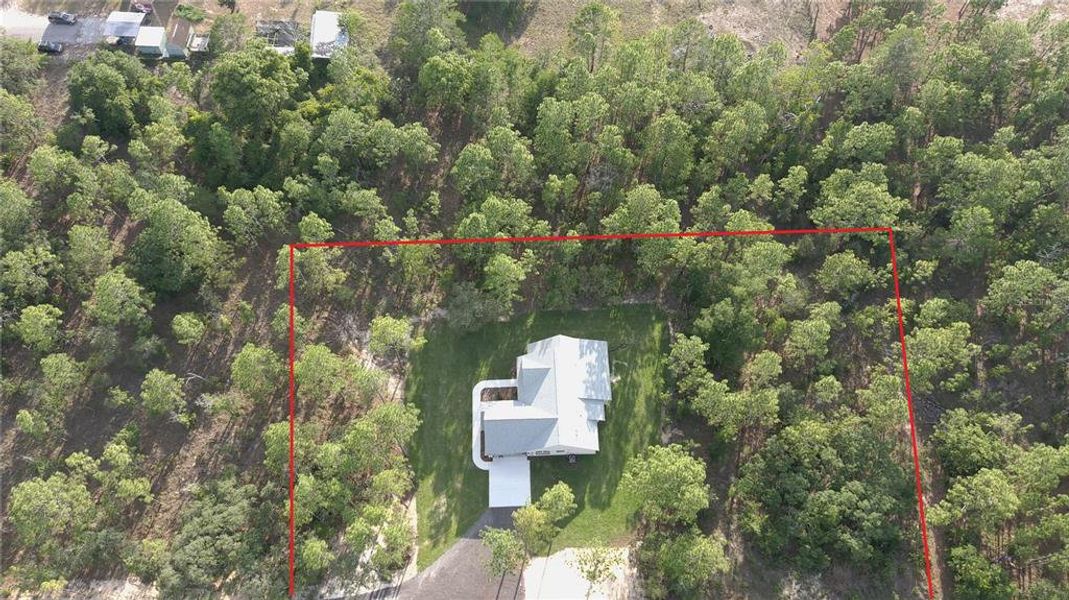 Natural landscape and outdoor views near in Weeki Wachee (Image 62). Natural landscape and outdoor views near in Weeki Wachee (Image 62).