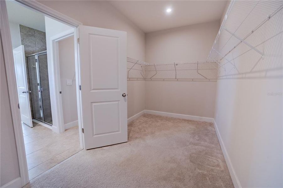 Spacious, unfurnished interior of a new home in , Port Charlotte (Image 17). Spacious, unfurnished interior of a new home in , Port Charlotte (Image 17).