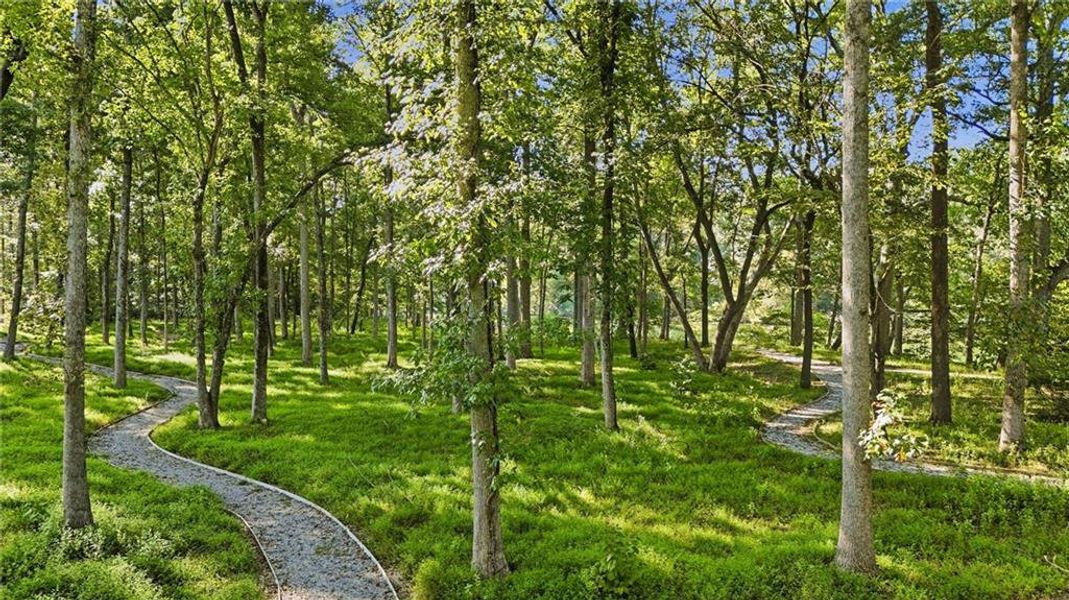 Natural landscape and outdoor views near Waterside Single Family in Peachtree Corners (Image 34).