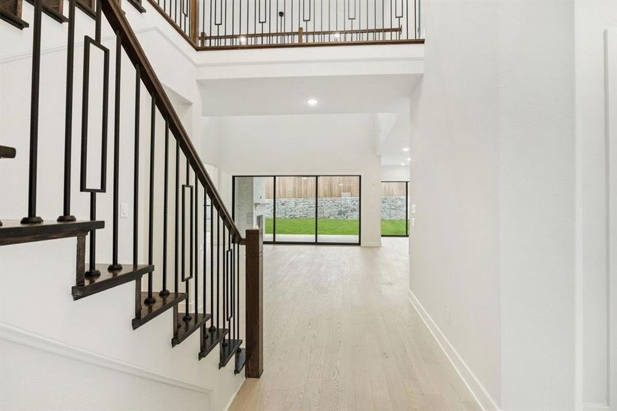 3-9343Spindletree_003 3-9343Spindletree_003