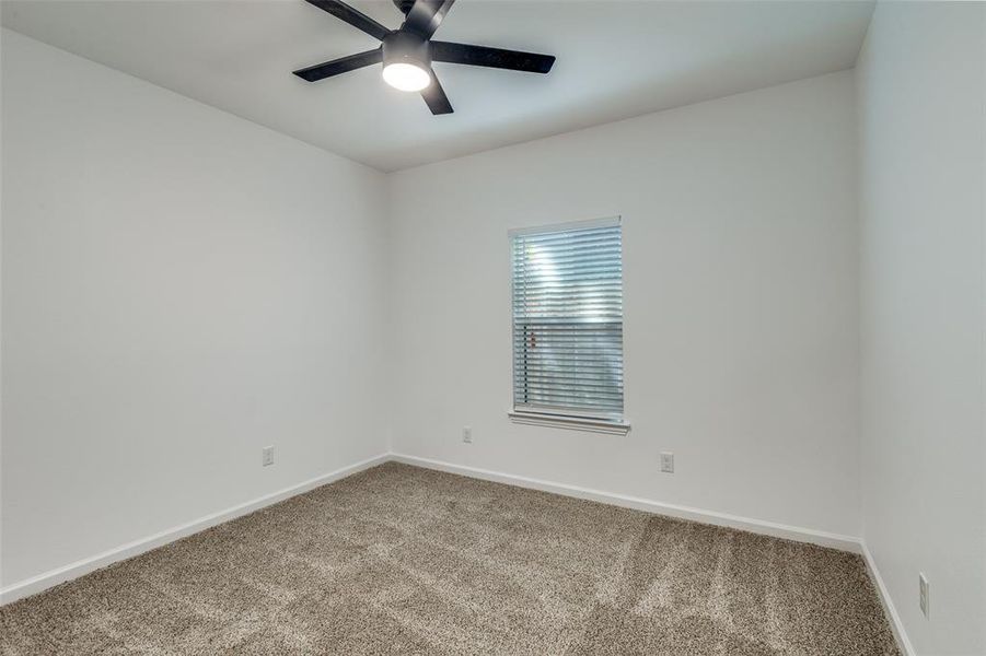 Empty room featuring carpet flooring and ceiling fan Empty room featuring carpet flooring and ceiling fan