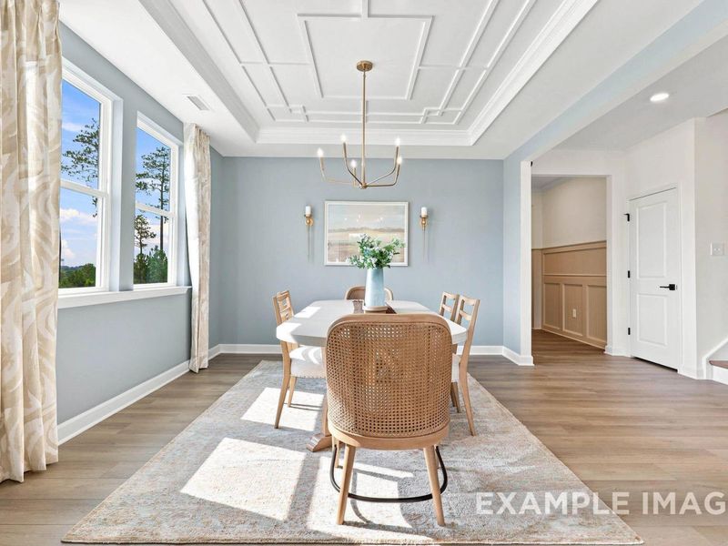 Furnished interior view inside a new home in Montrose, Aberdeen (Image 22).