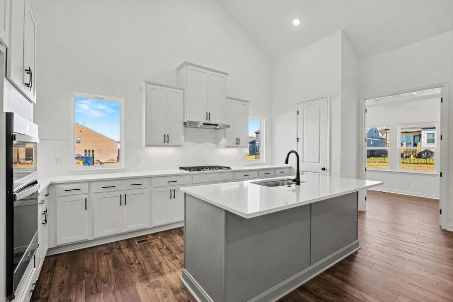 Shannon C Kitchen