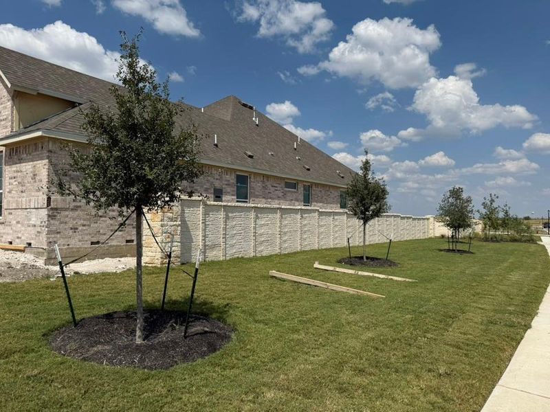 View of yard View of yard