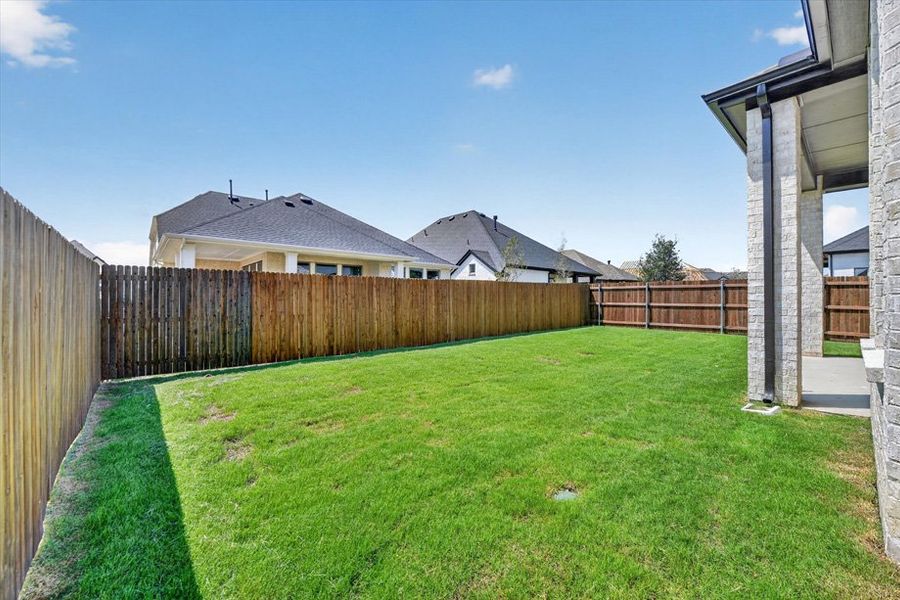 Backyard