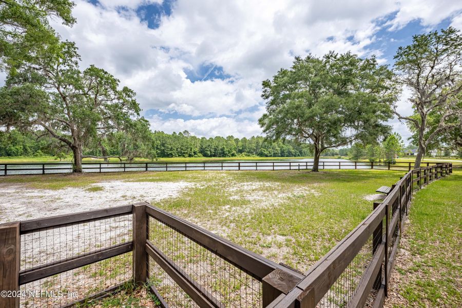 Natural landscape and outdoor views near TrailMark in St. Augustine (Image 61).