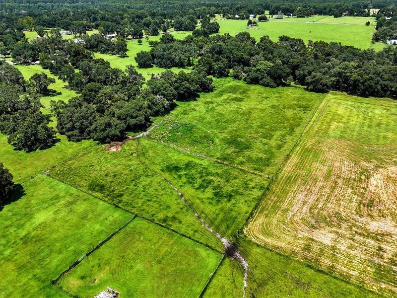 Natural landscape and outdoor views near  in Dade City (Image 29).