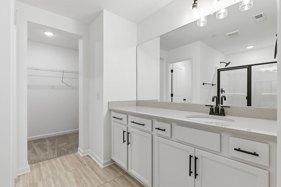 Owner's Bath