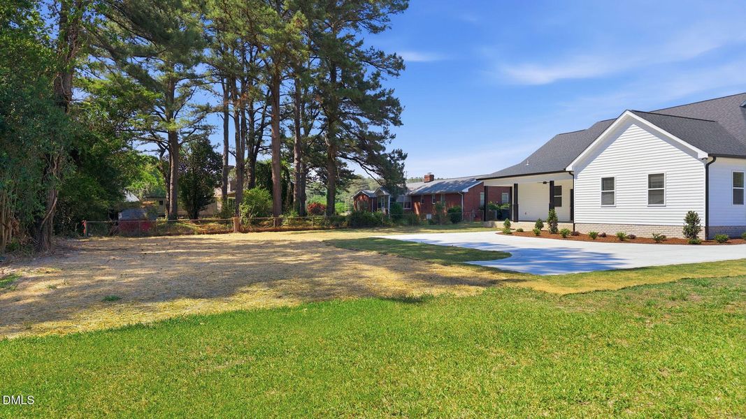 Back Yard