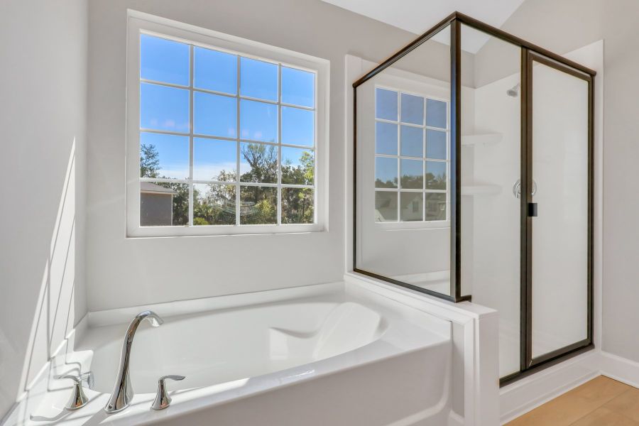 Edisto Owner's Bath Marble Shower and Garden Window