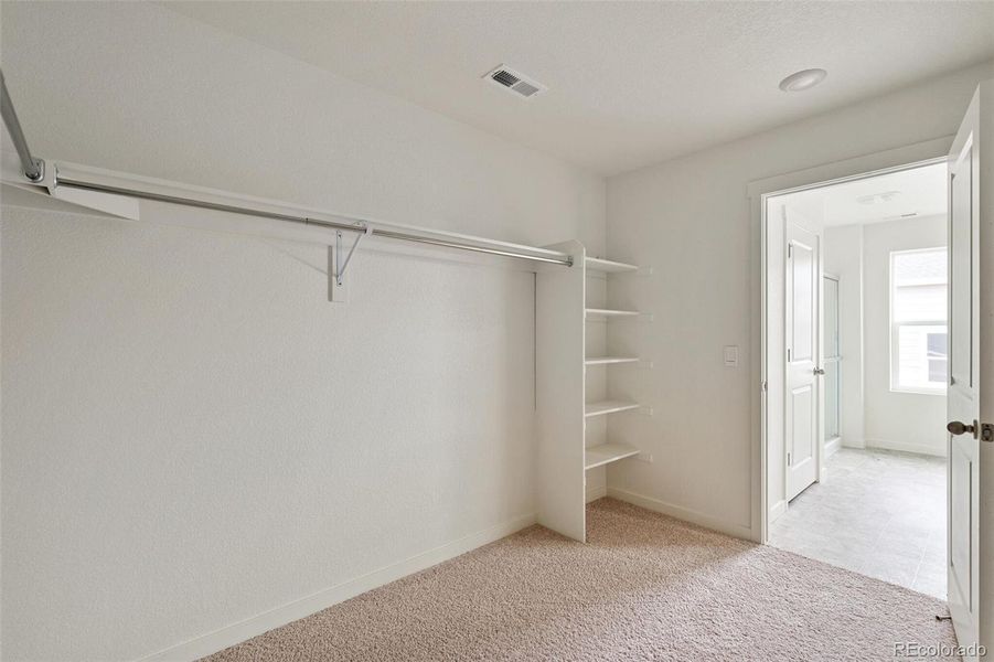 Spacious, unfurnished interior of a new home in Timberleaf, Thornton (Image 22).