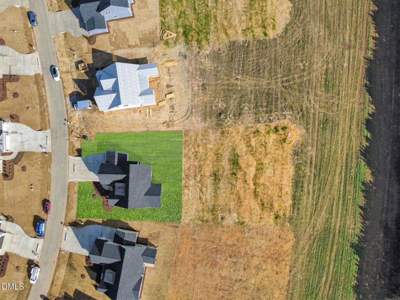 dji_fly_20260309_102724_763_177306662421