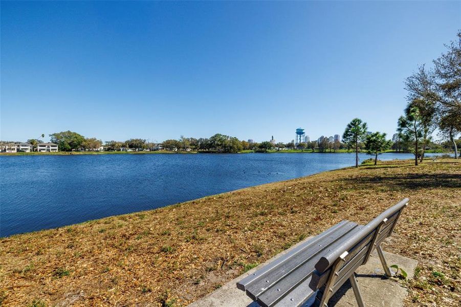 Natural landscape and outdoor views near  in St. Petersburg (Image 11).