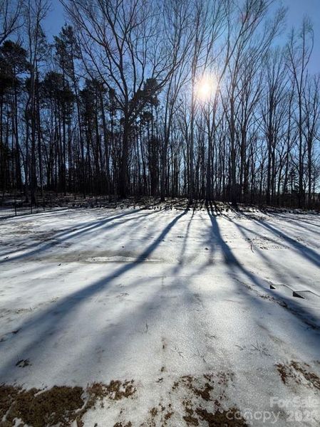 Enjoy the view in the backyard no matter the weather!
