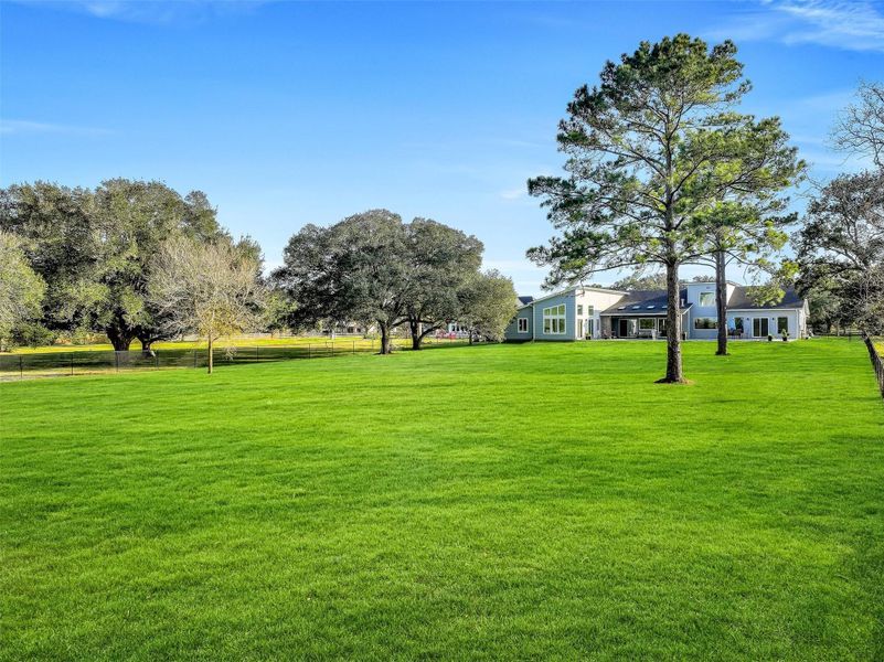 Natural landscape and outdoor views near  in Manvel (Image 47).