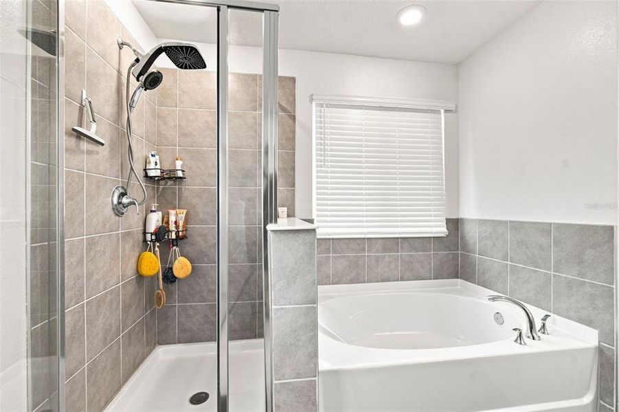 Furnished interior view inside a new home in , Land O' Lakes (Image 50).