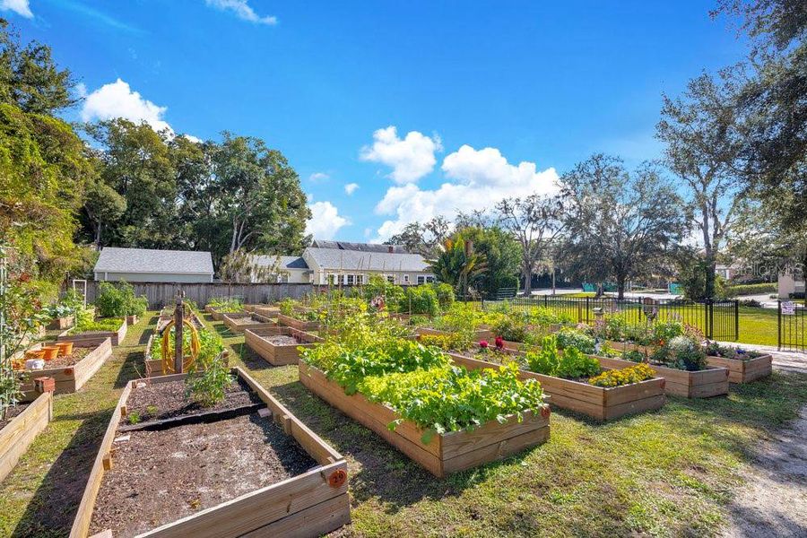 Community amenities in , Orlando (Image 19).