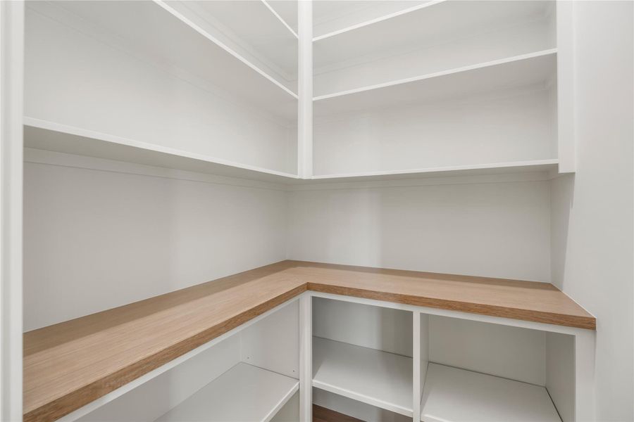 Pantry with plenty of shelves.