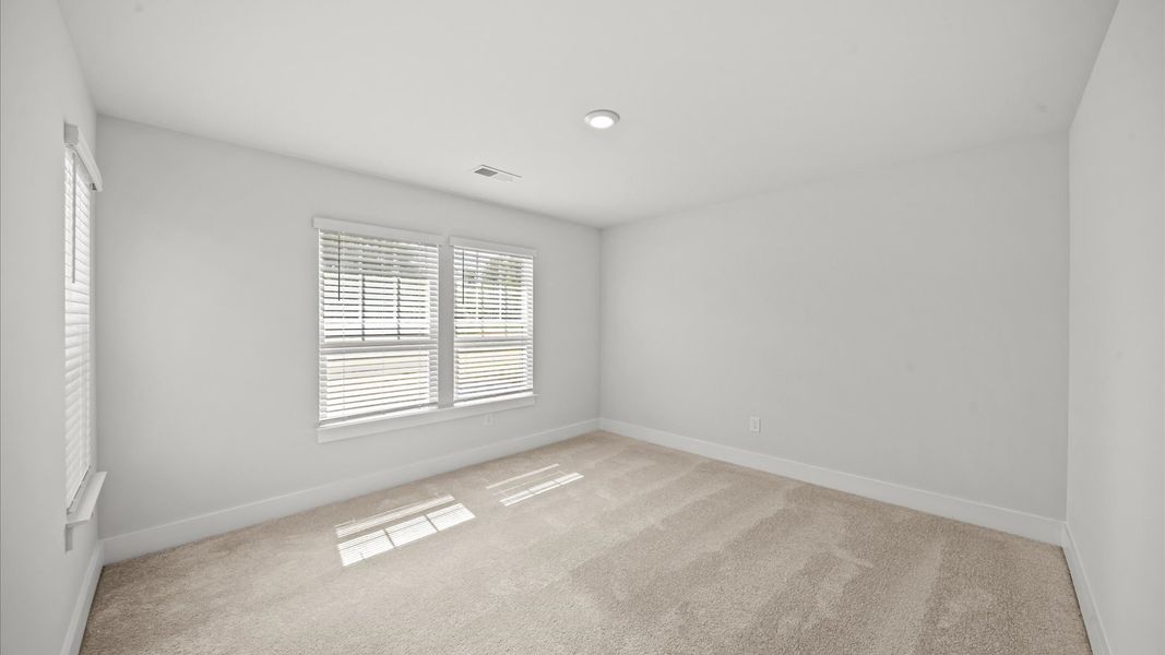 Memorable space with walk-in closet, soft carpeting, and striking natural light from large windows