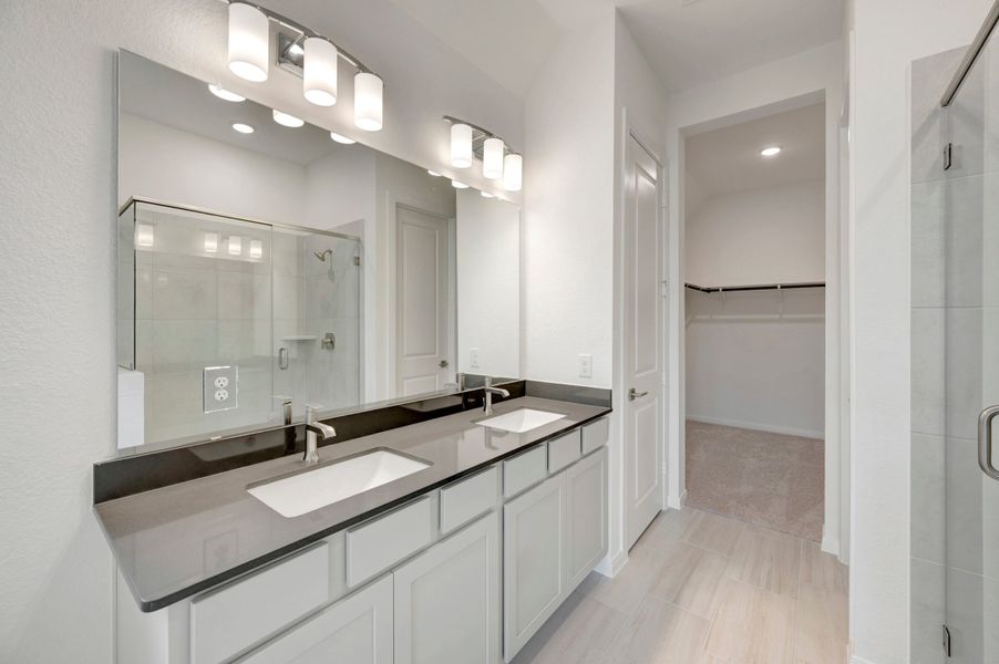 Owner's Bath