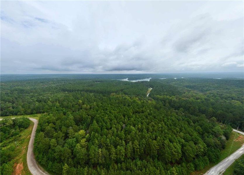 Natural landscape and outdoor views near  in Elberton (Image 9).