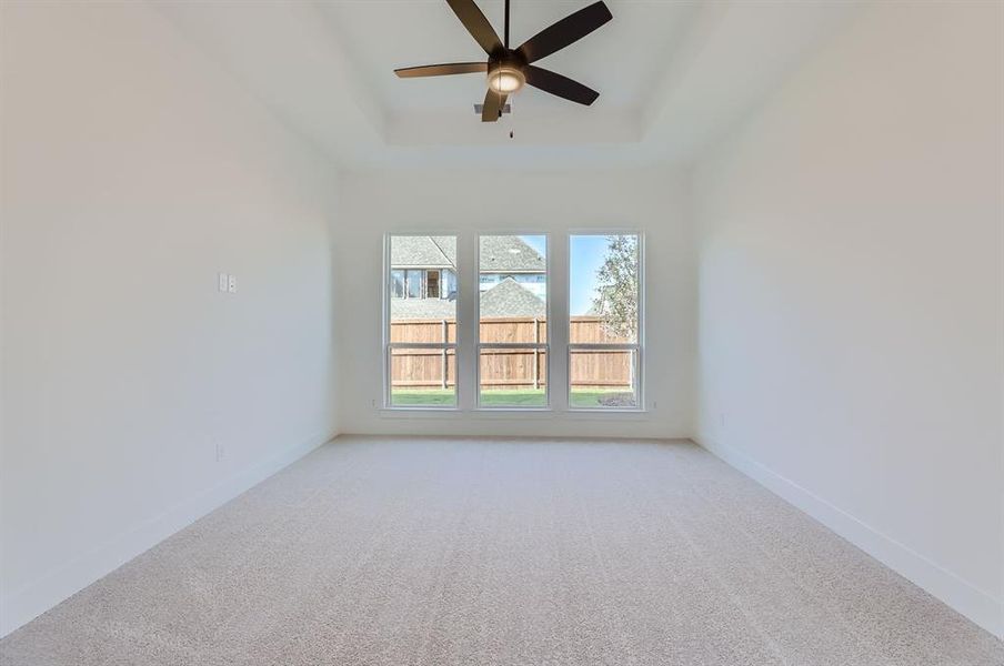 Spare room with ceiling fan, a raised ceiling, and carpet floors