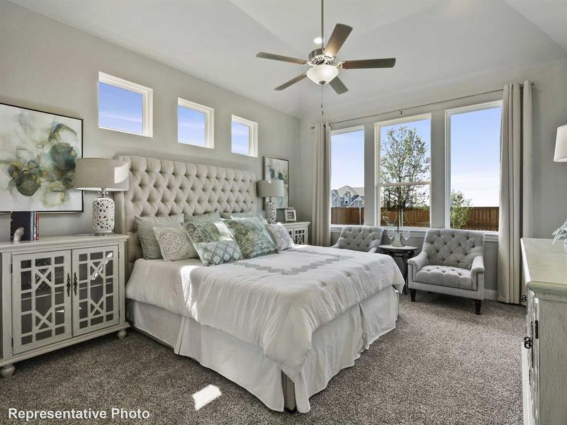 Expansive bedroom featuring a tray ceiling with a ceiling fan, multiple large windows, and plush carpeting