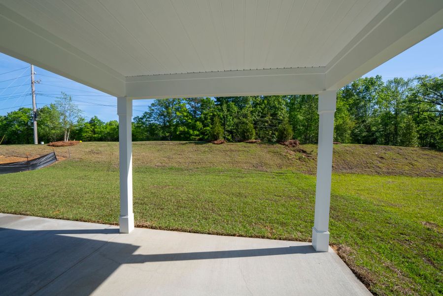 Exterior details and patio area of a home in Monroe Preserve, Chapin (Image 3). Exterior details and patio area of a home in Monroe Preserve, Chapin (Image 3).