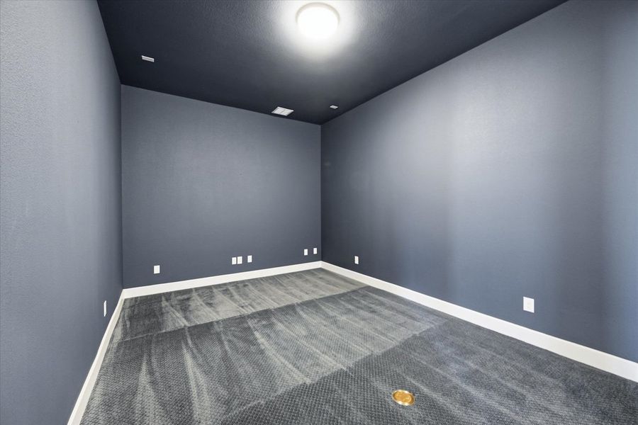 Entertainment Room