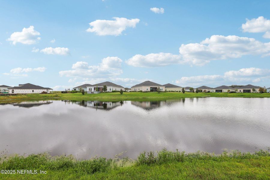Natural landscape and outdoor views near  in Green Cove Springs (Image 56).