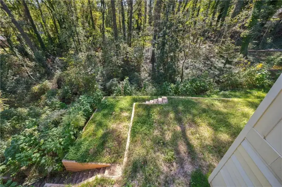 Natural landscape and outdoor views near  in Hapeville (Image 35).