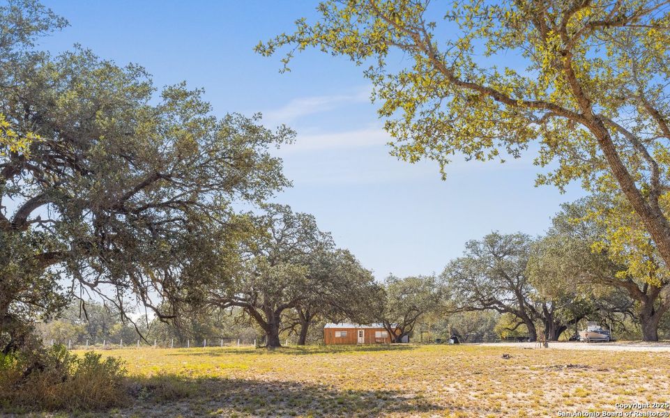 Natural landscape and outdoor views near  in Devine (Image 7).