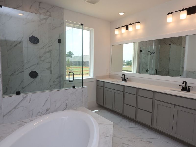 Owner's Bathroom
