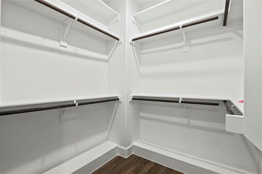 Spacious closet featuring dark wood finished floors Spacious closet featuring dark wood finished floors