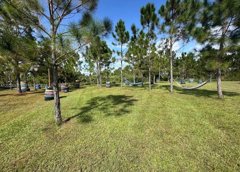 Natural landscape and outdoor views near  in Okeechobee (Image 17).